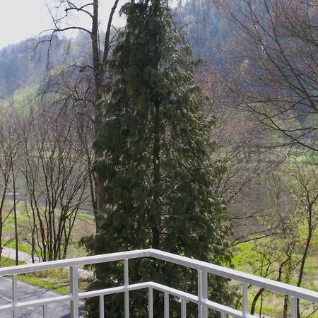 Haus Elbsinfonie Vila Bad Schandau Exterior foto